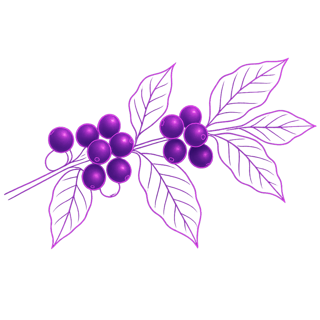 Coffee branch illustration